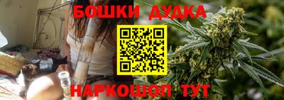 Альфа ПВП Сланцы