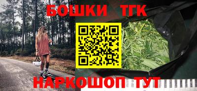 Альфа ПВП Сланцы